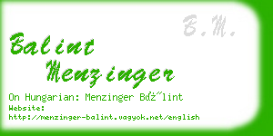 balint menzinger business card